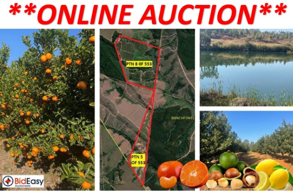 PRIME EXPORT COMMERCIAL FARM: 78Ha WITH WATER RIGHTS (MACS, LEMONS & MANDARINS) - BARBERTON