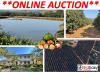 PRIME EXPORT COMMERCIAL FARM: 21Ha MACS WITH WATER RIGHTS - WHITE RIVER