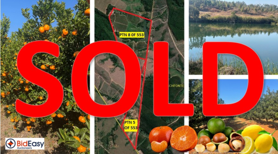 PRIME EXPORT COMMERCIAL FARM: 78Ha WITH WATER RIGHTS (MACS, LEMONS & MANDARINS) - BARBERTON