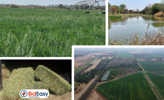 19.94Ha IRRIGATION FARM (LUCERNE / VEGETABLE / LIVESTOCK) - HONINGNESTKRANS AH, PRETORIA