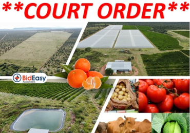 ± 737Ha COMMERCIAL FARM: CITRUS, TOMATO, SEASONAL CROPS & GRAZING WITH 402Ha WATER RIGHTS - VIVO, LIMPOPO